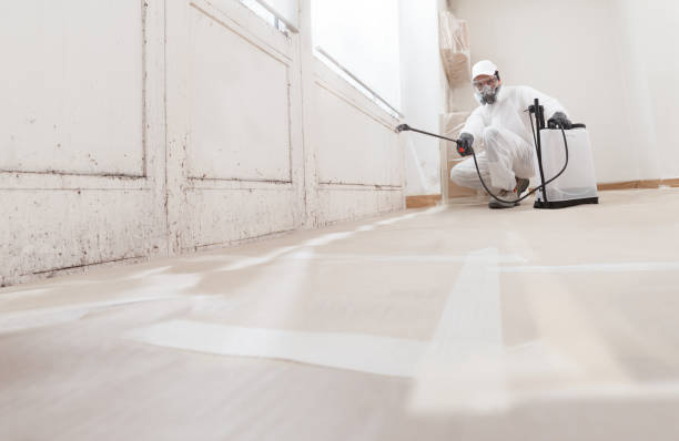 24/7 Emergency Mold Cleanup experts in Fountain, NC