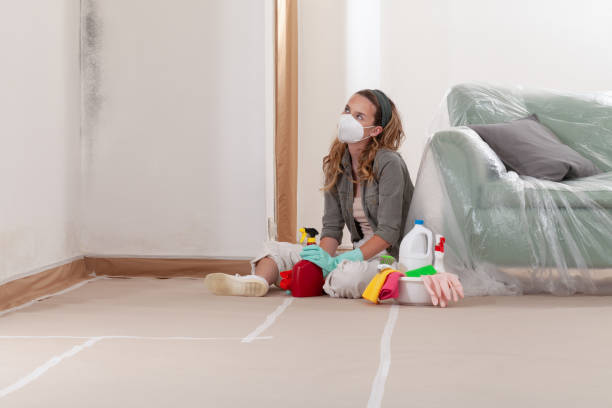 Reliable Mold Cleanup contractor in Fountain, NC by WQB Mold Removal
